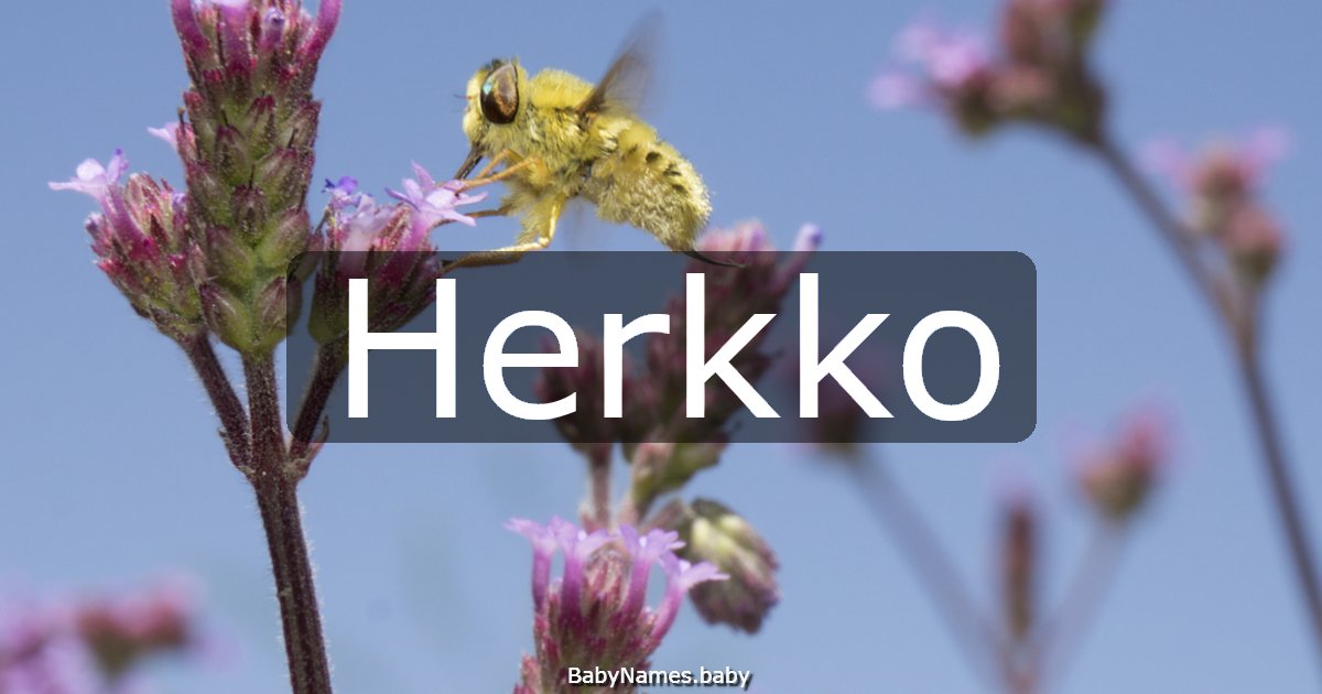 Herkko