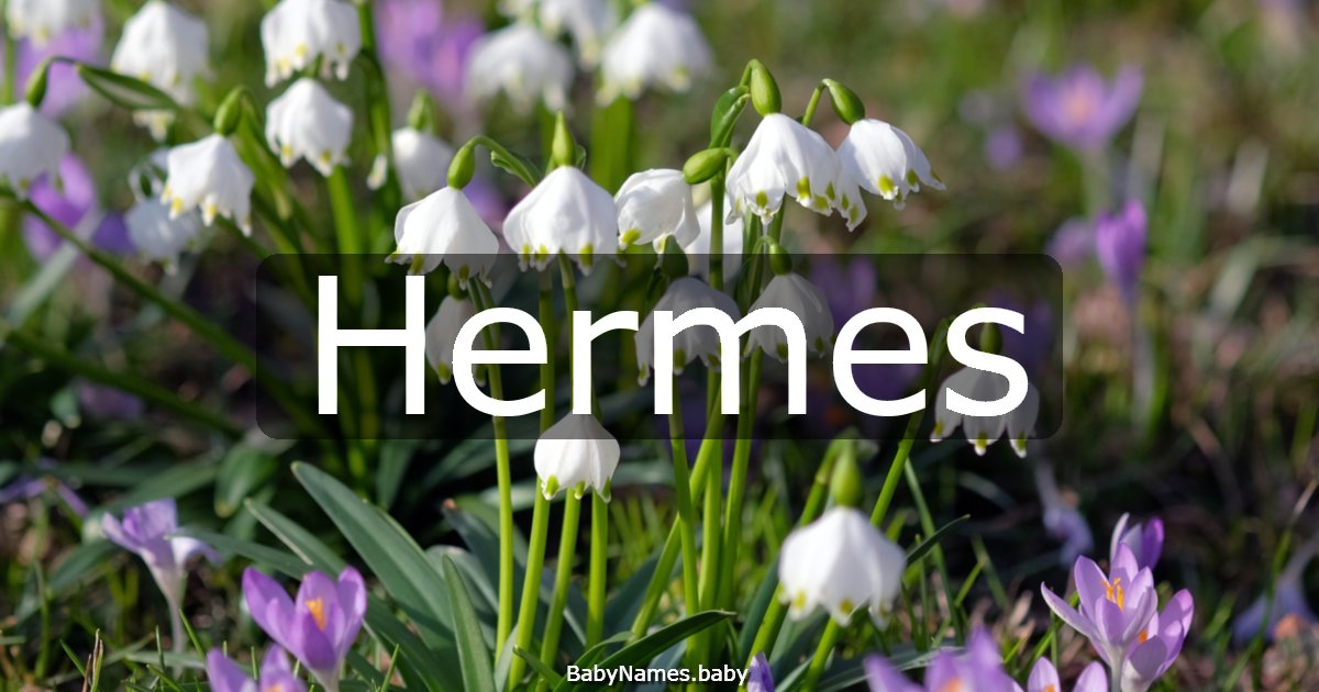 Hermes