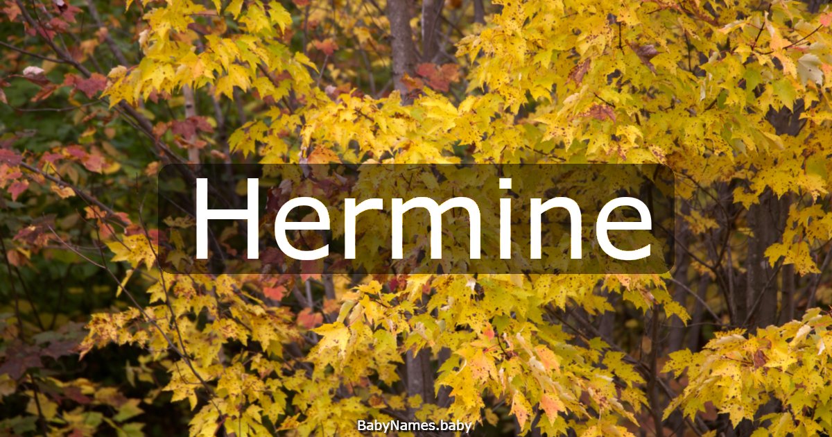 Hermine