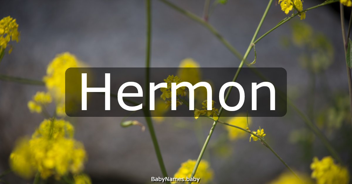 Hermon