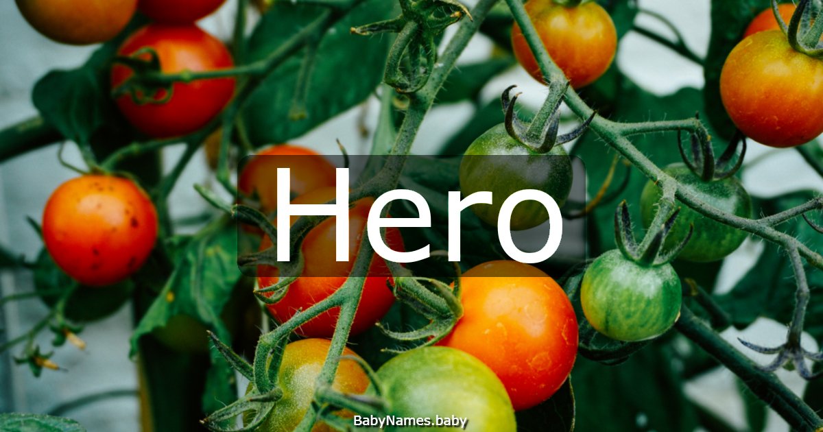 Hero