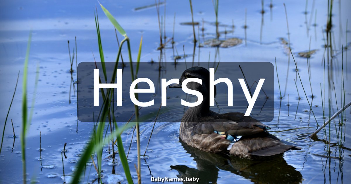 Hershy