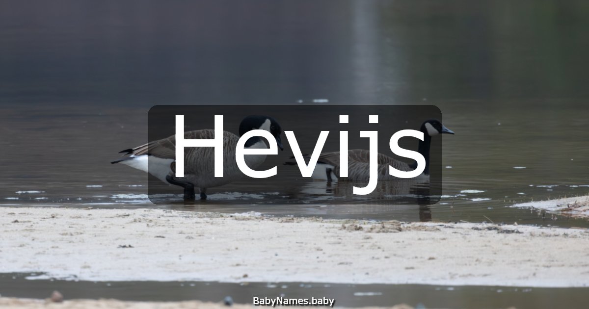 Hevijs