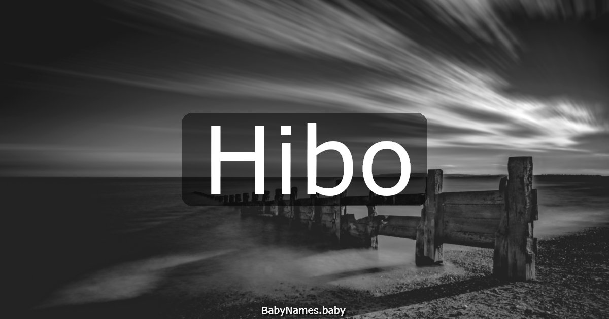 Hibo