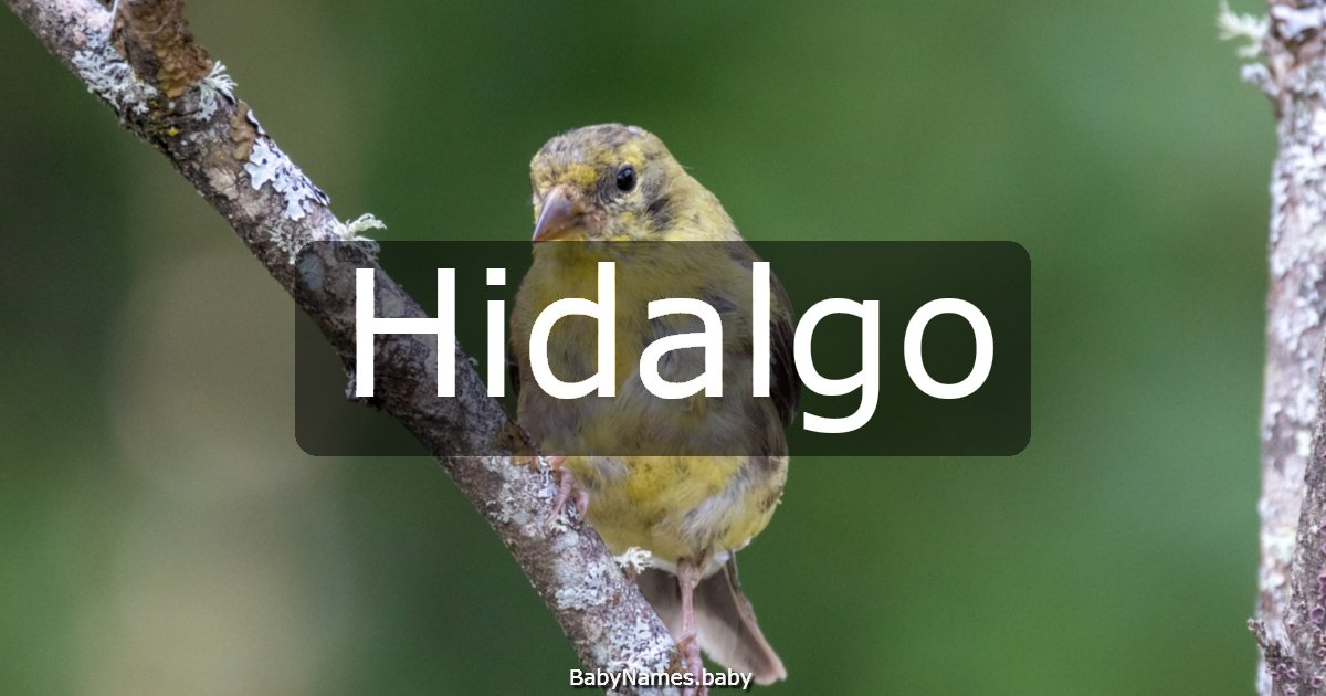 Hidalgo