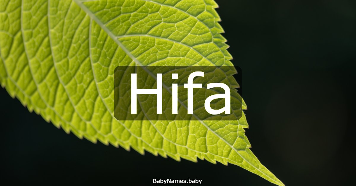 Hifa