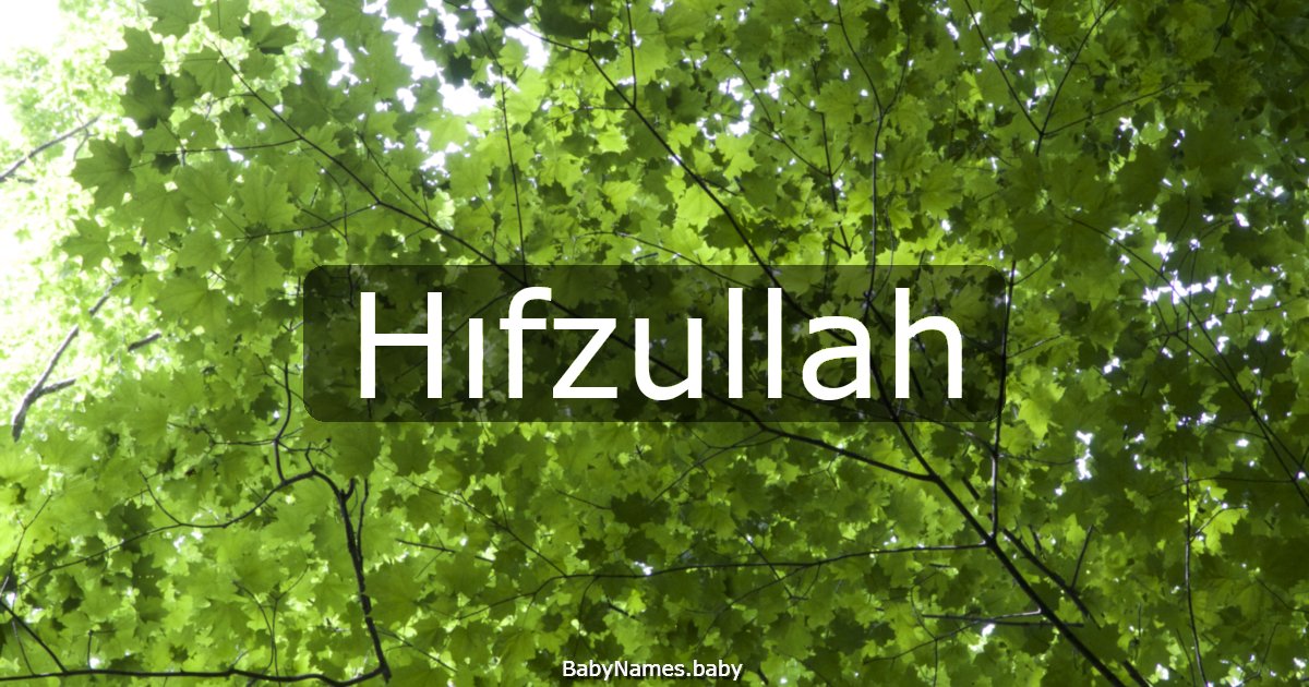 Hıfzullah