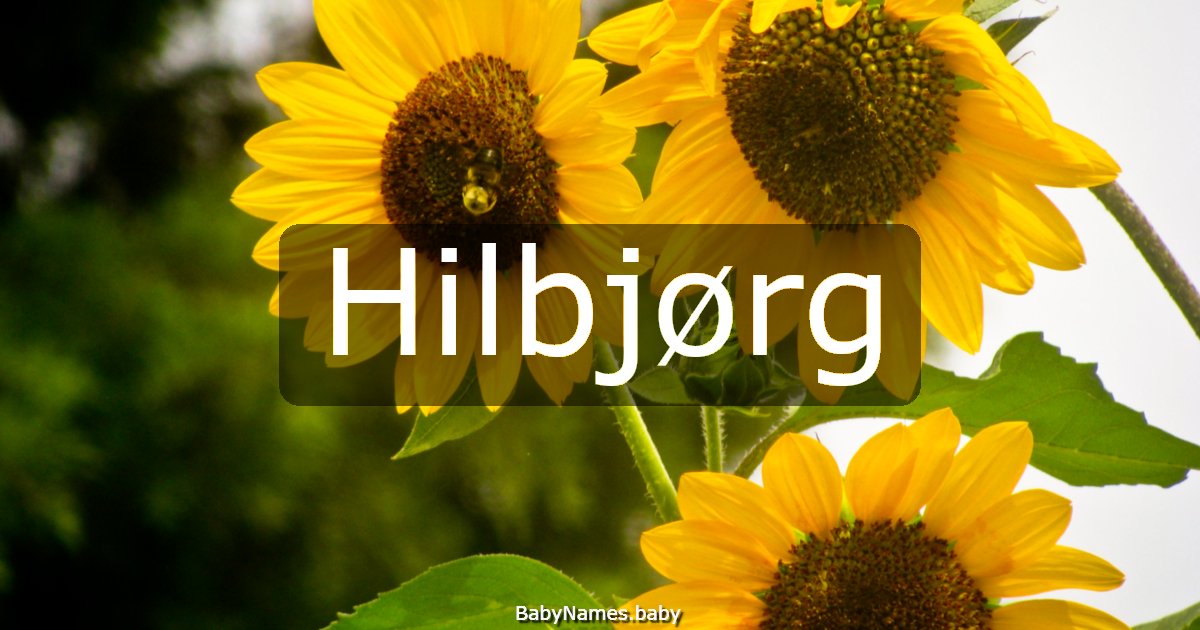 Hilbjørg