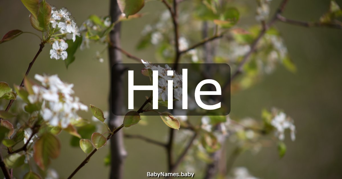 Hile