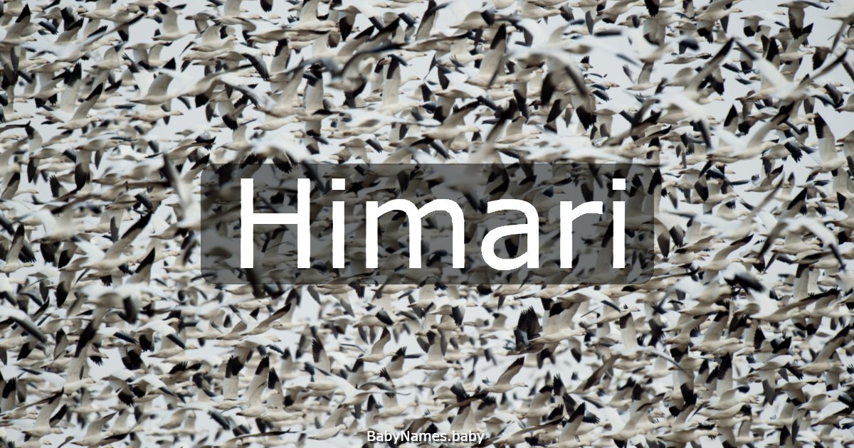 Himari