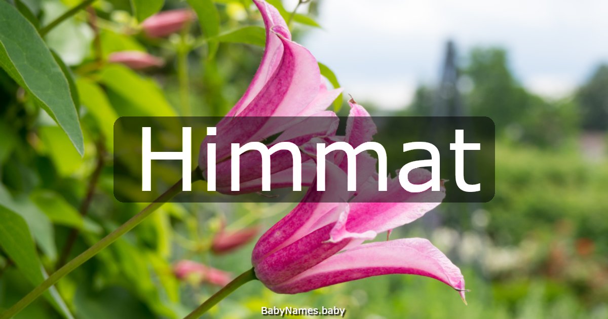 Himmat