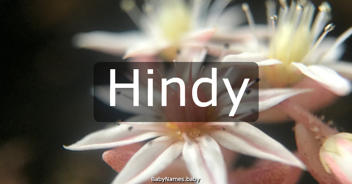 Hindy