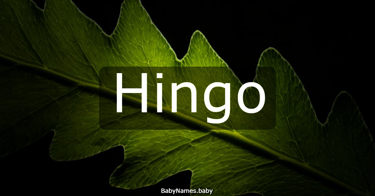 Hingo