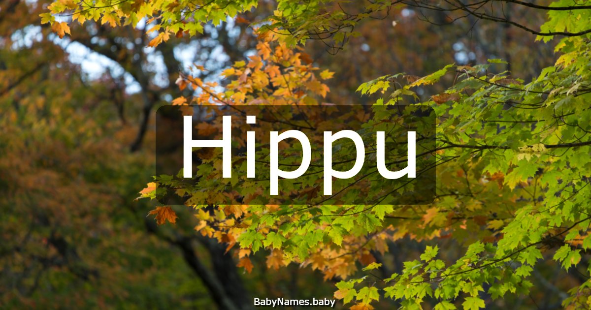 Hippu