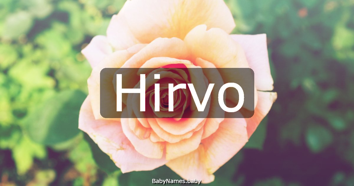Hirvo
