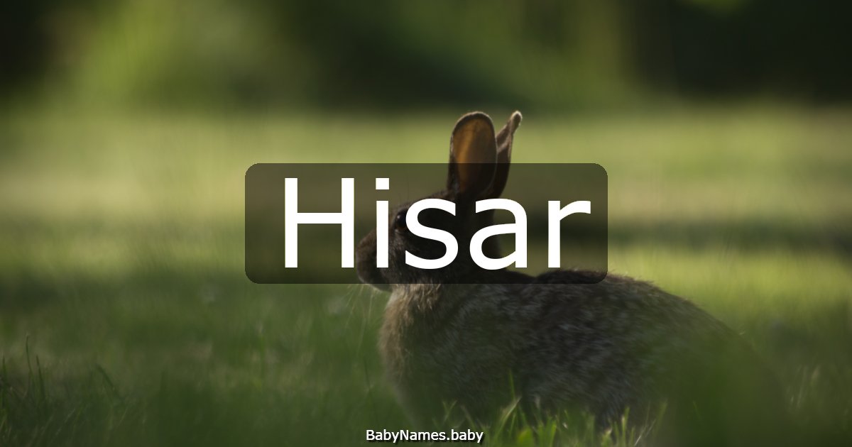Hisar