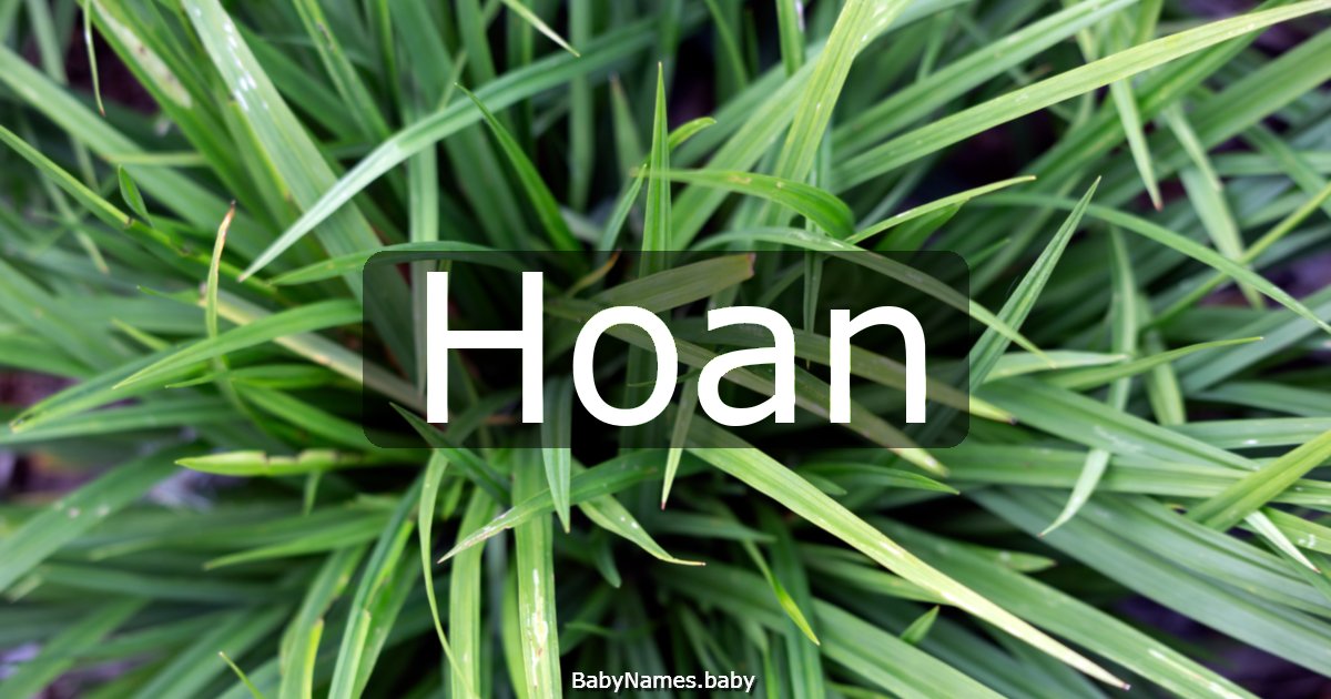 Hoan