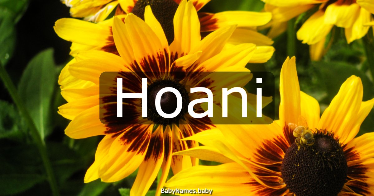 Hoani