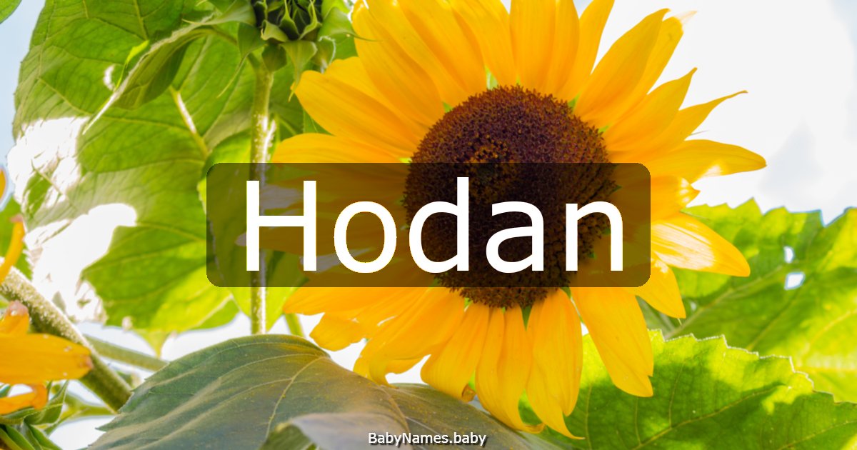 Hodan