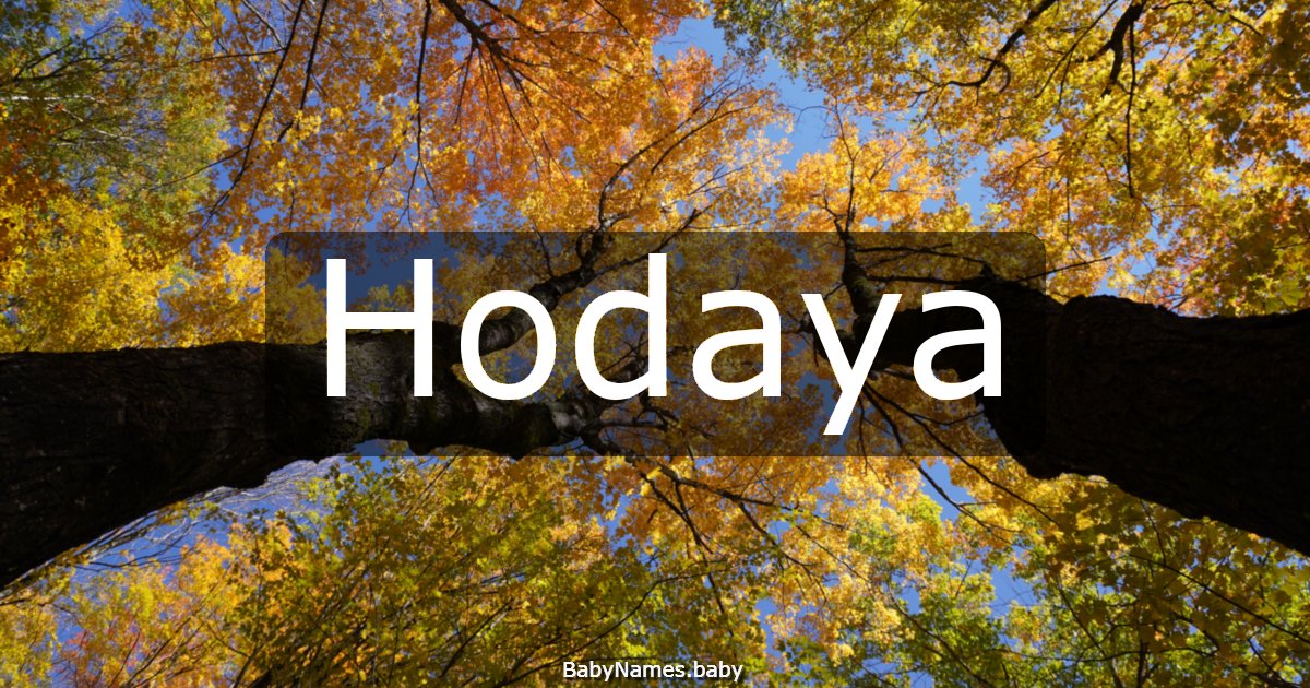 Hodaya