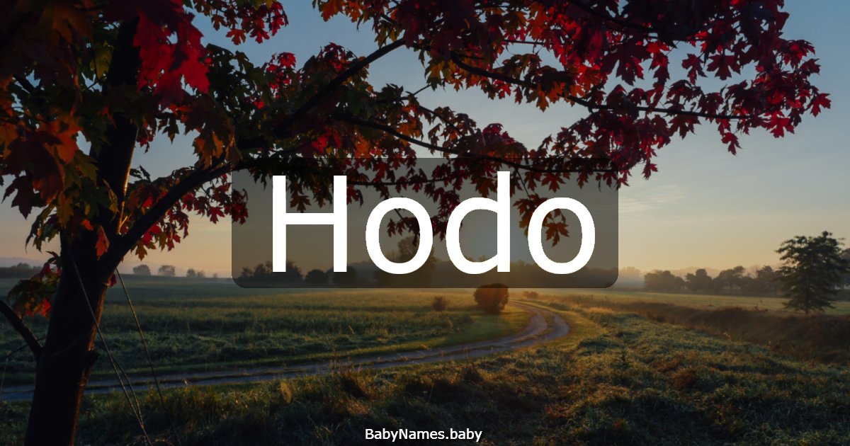 Hodo