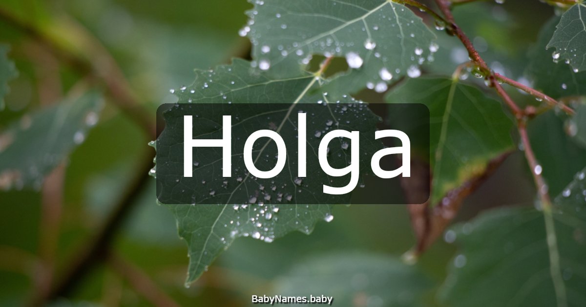 Holga