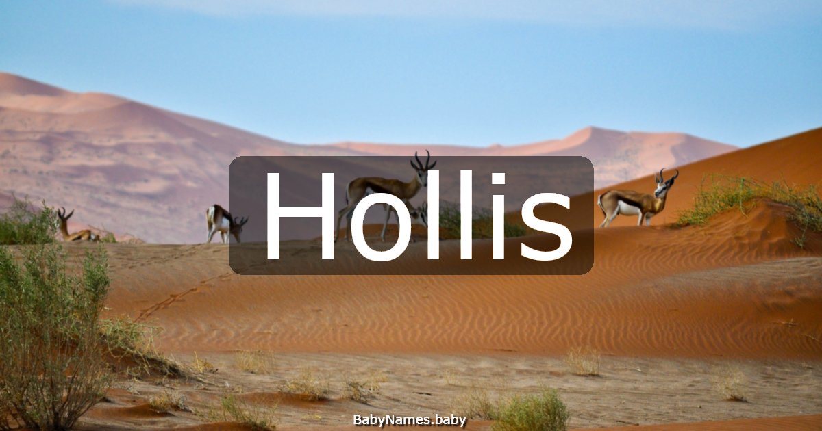 Hollis