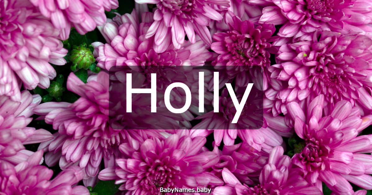 Holly