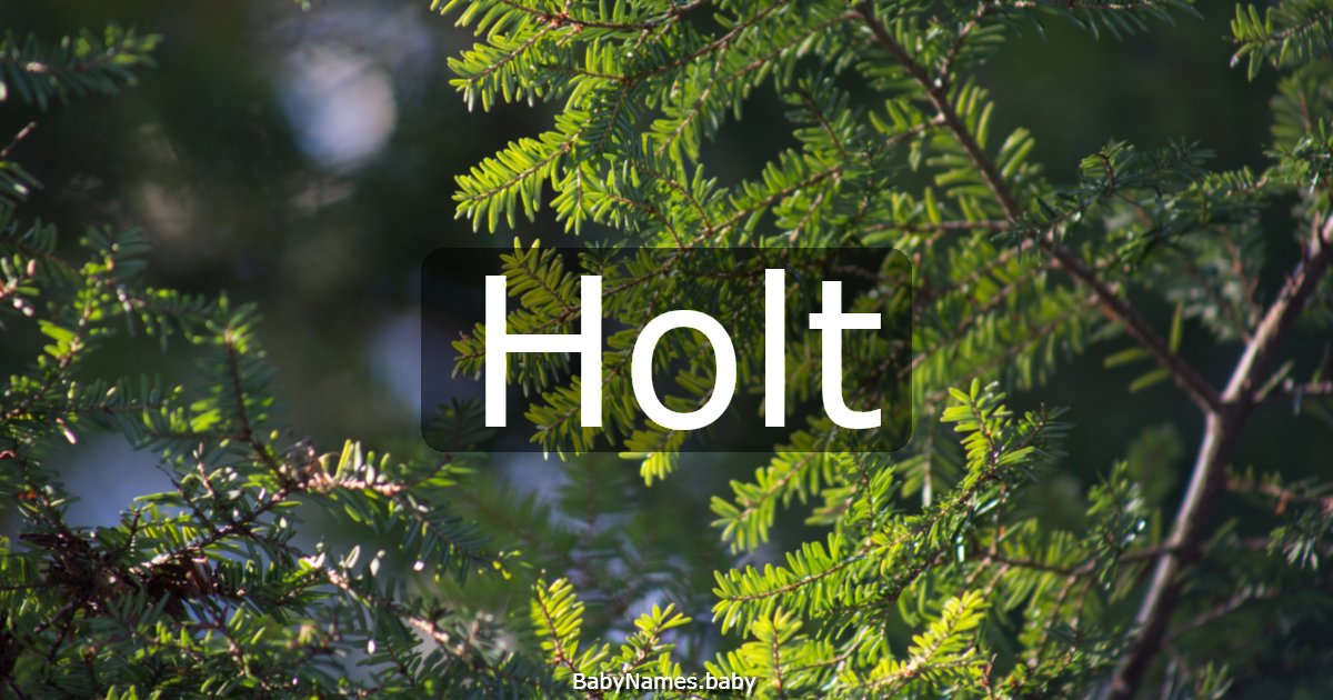 Holt
