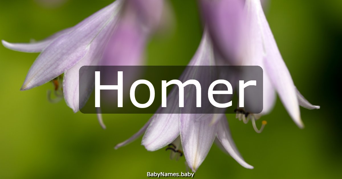 Homer