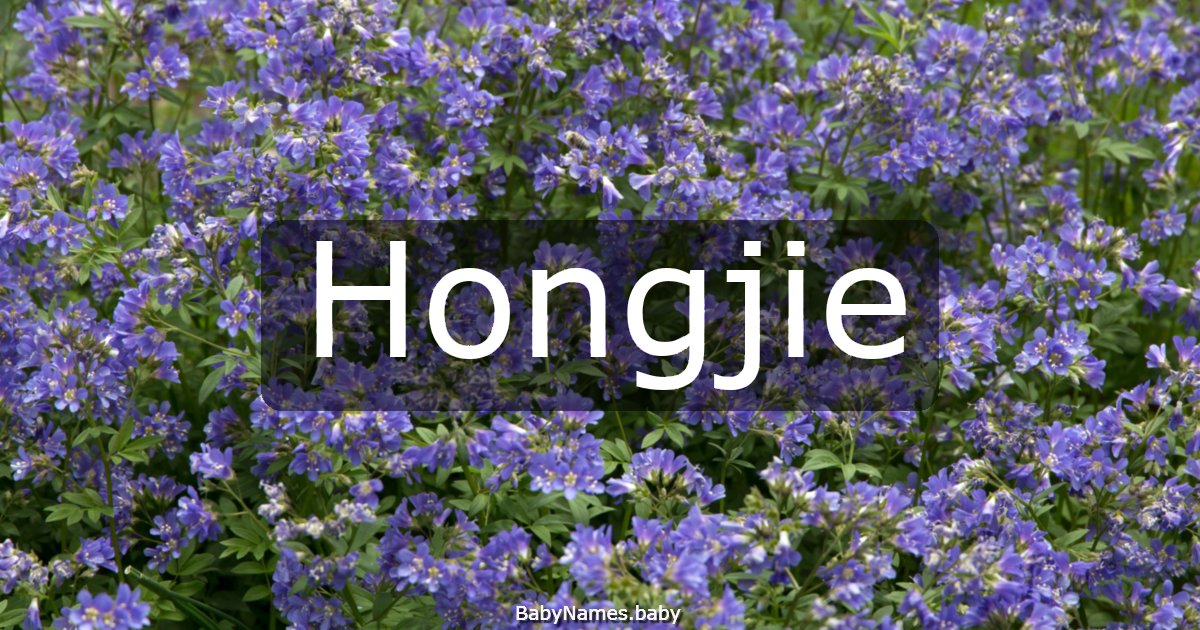 Hongjie