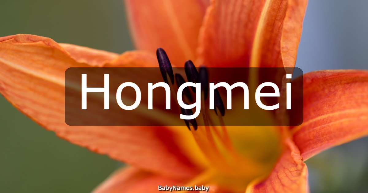 Hongmei