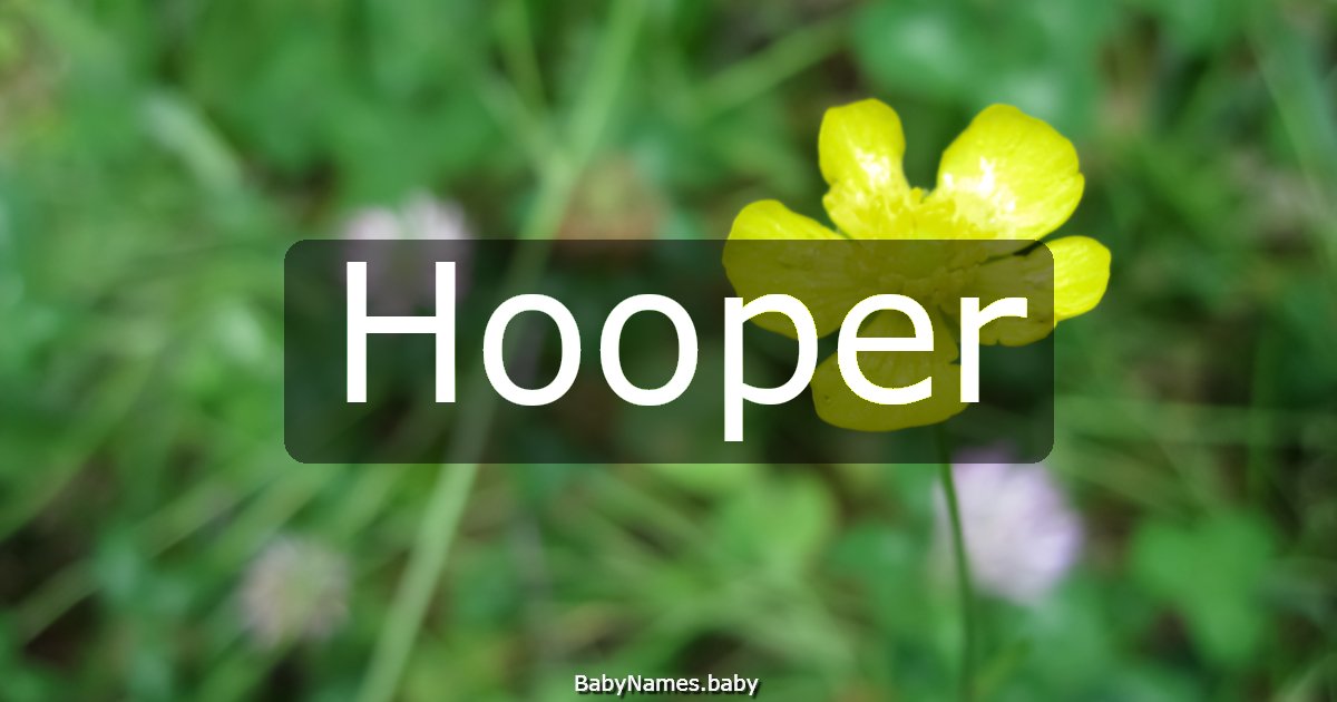 Hooper