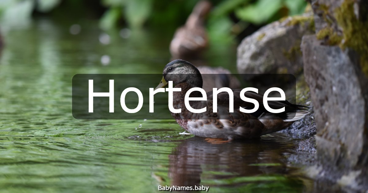 Hortense