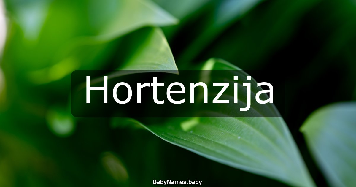 Hortenzija