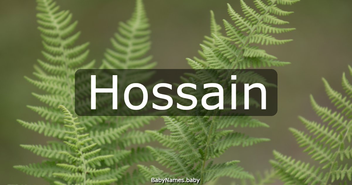 Hossain