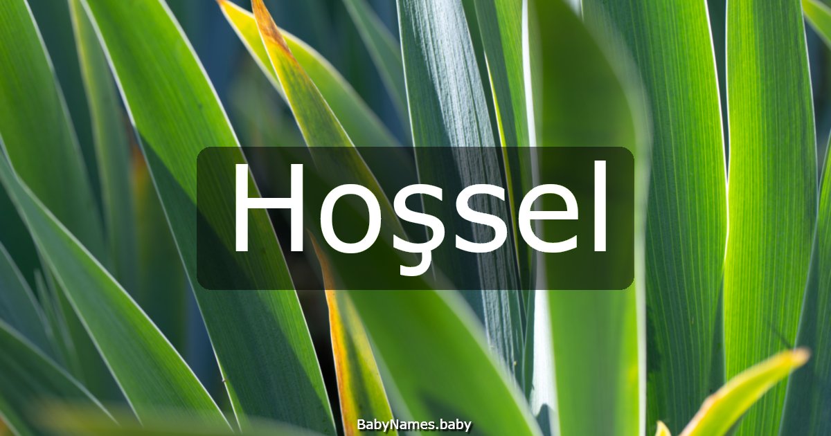 Hoşsel