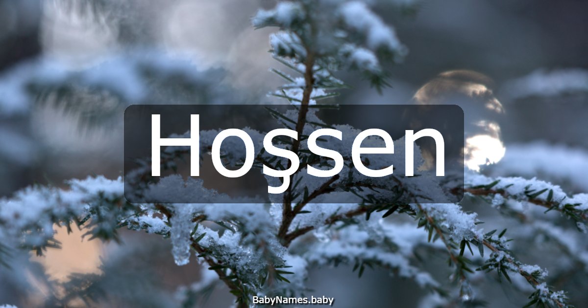 Hoşsen