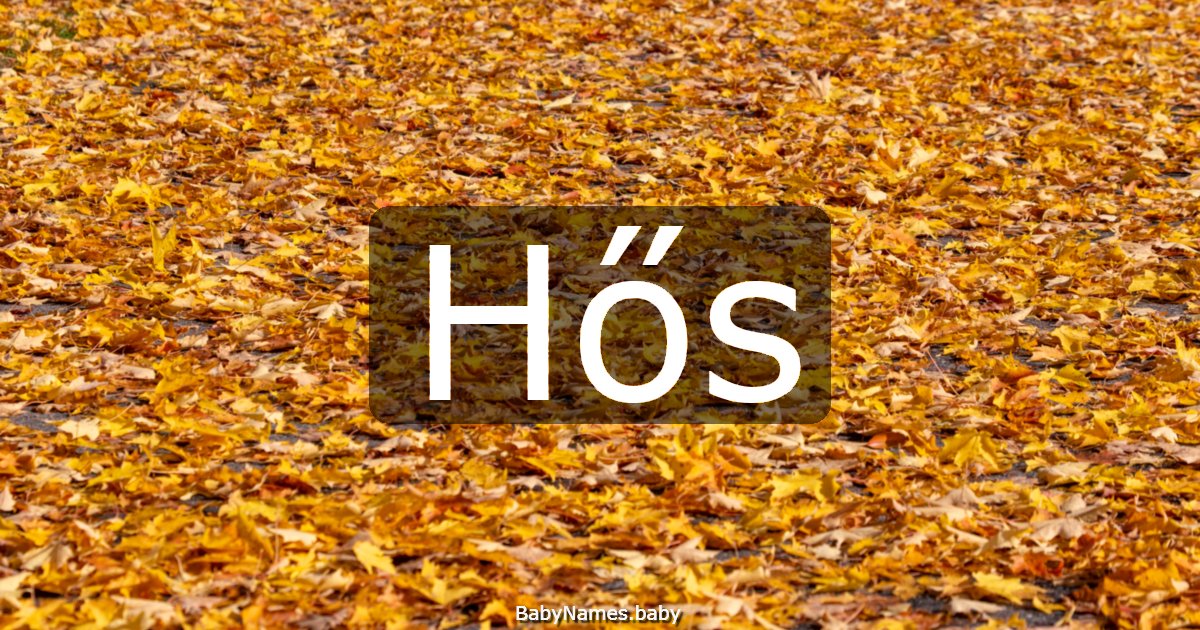 Hős