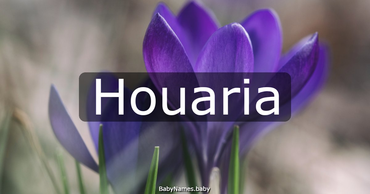 Houaria