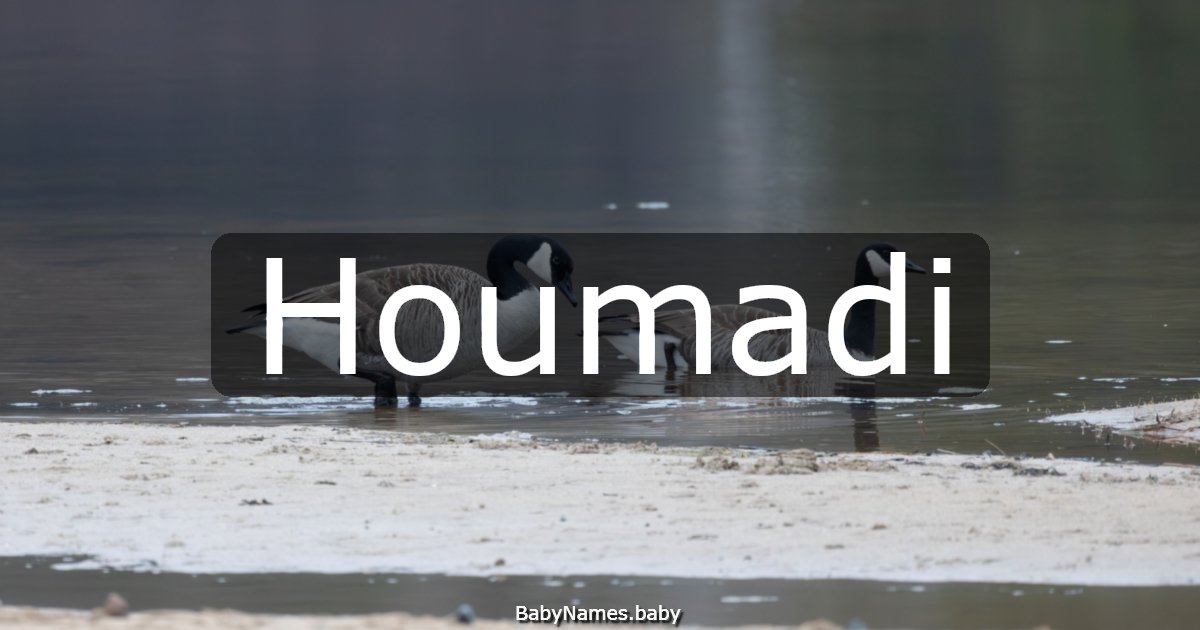 Houmadi