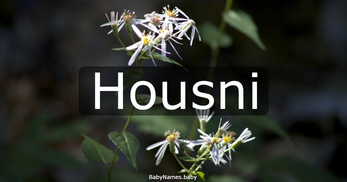 Housni