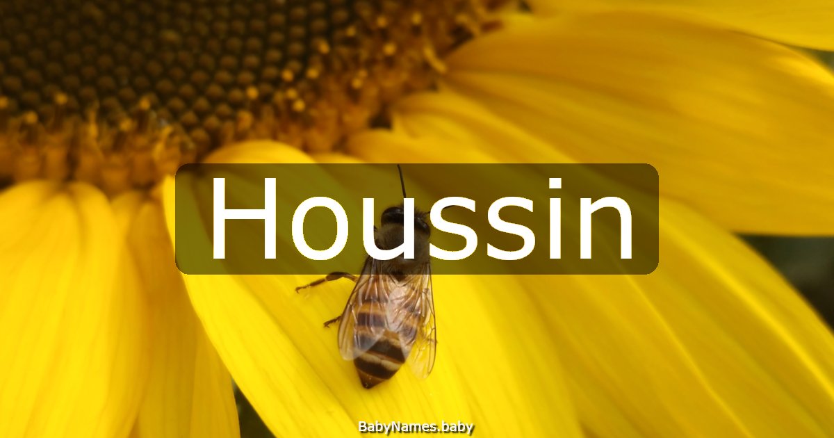 Houssin