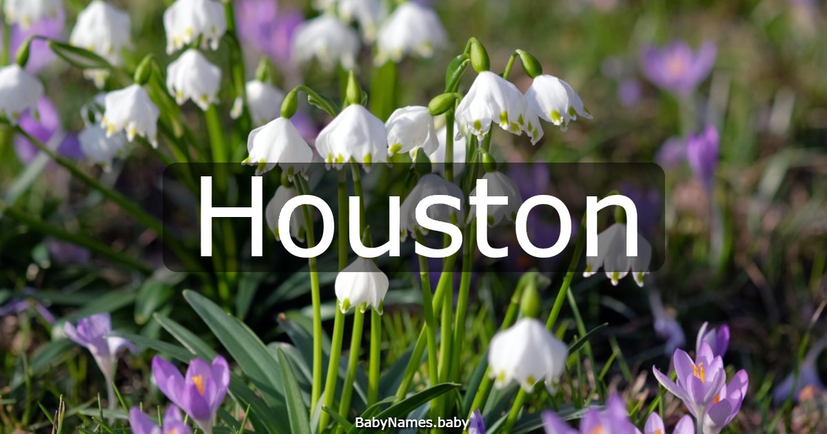 Houston