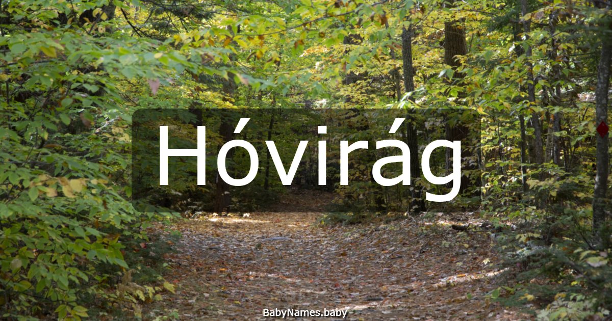 Hóvirág