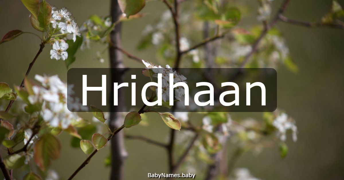 Hridhaan