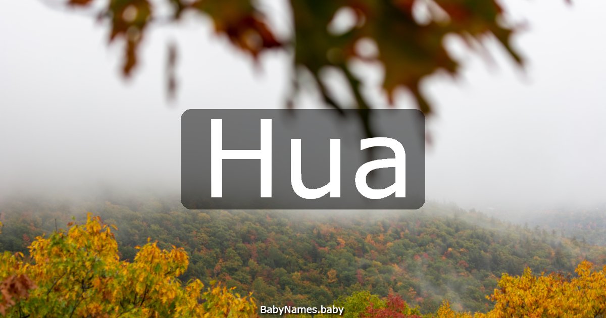 Hua