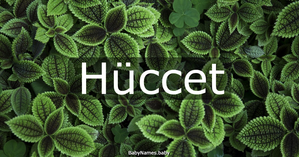 Hüccet