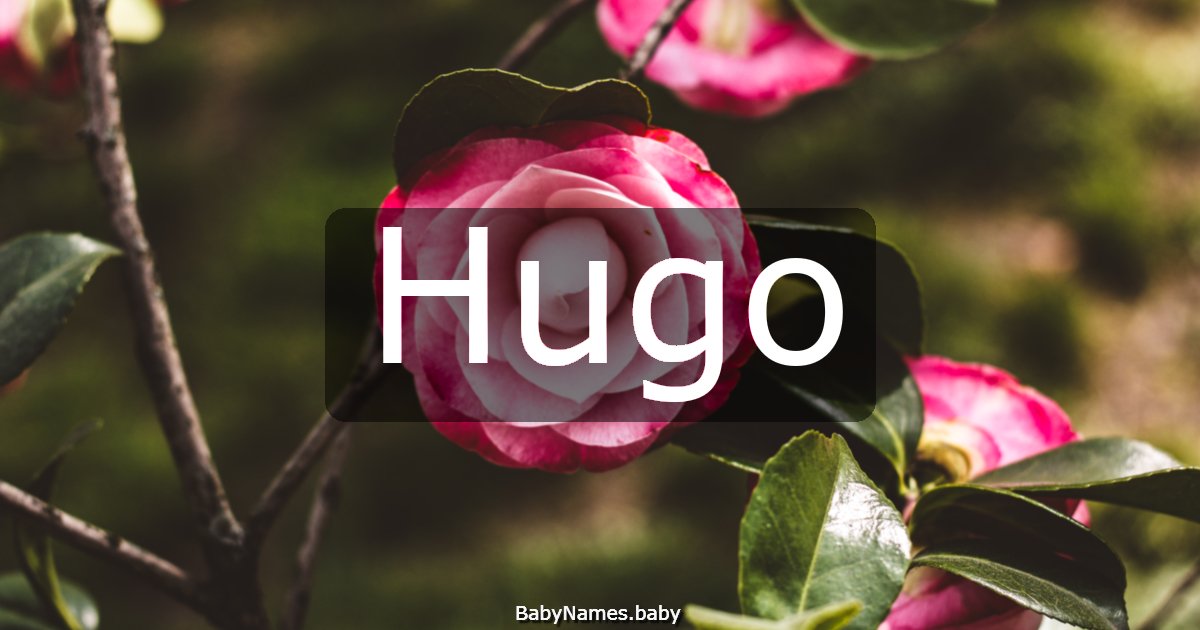 Hugo