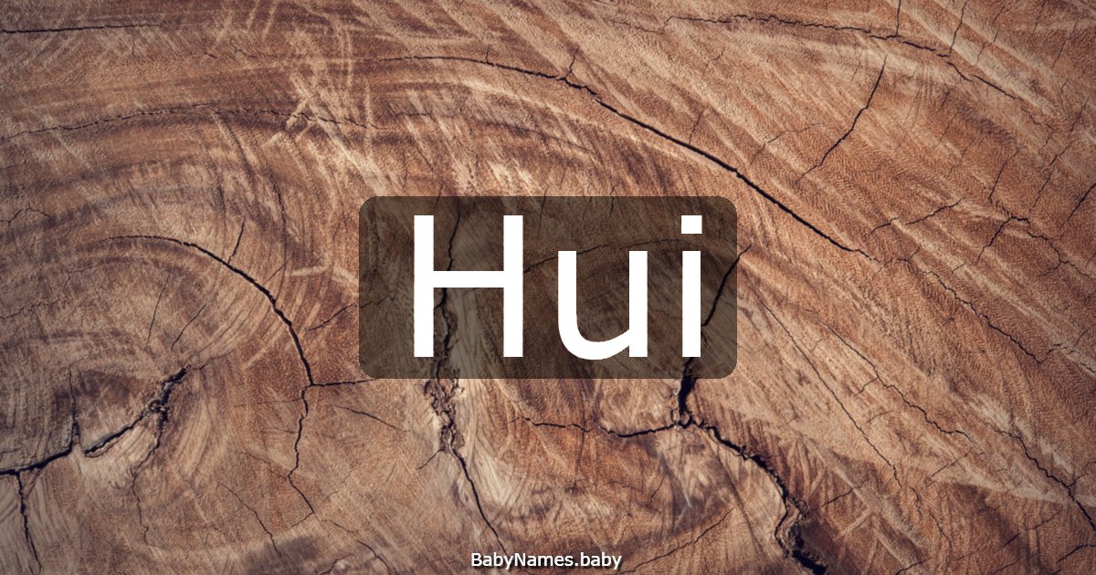 Hui